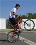 wheelie